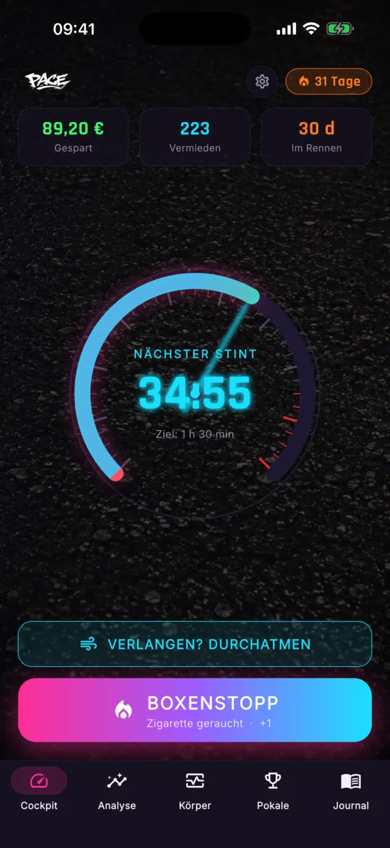 Gauge cockpit & stint timer